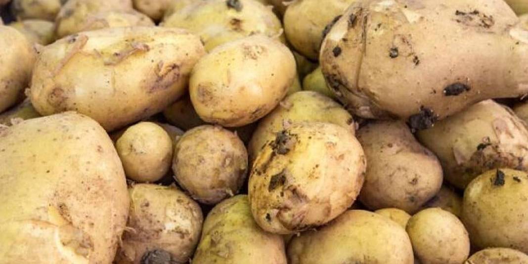 Patatesler bozulmadan aylarca dayanıyor! Ne filizlenme ne de küf: Doğru saklama yöntemiyle tanışın! 3